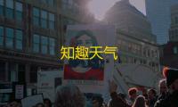 知趣天气