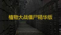 植物大战僵尸精华版